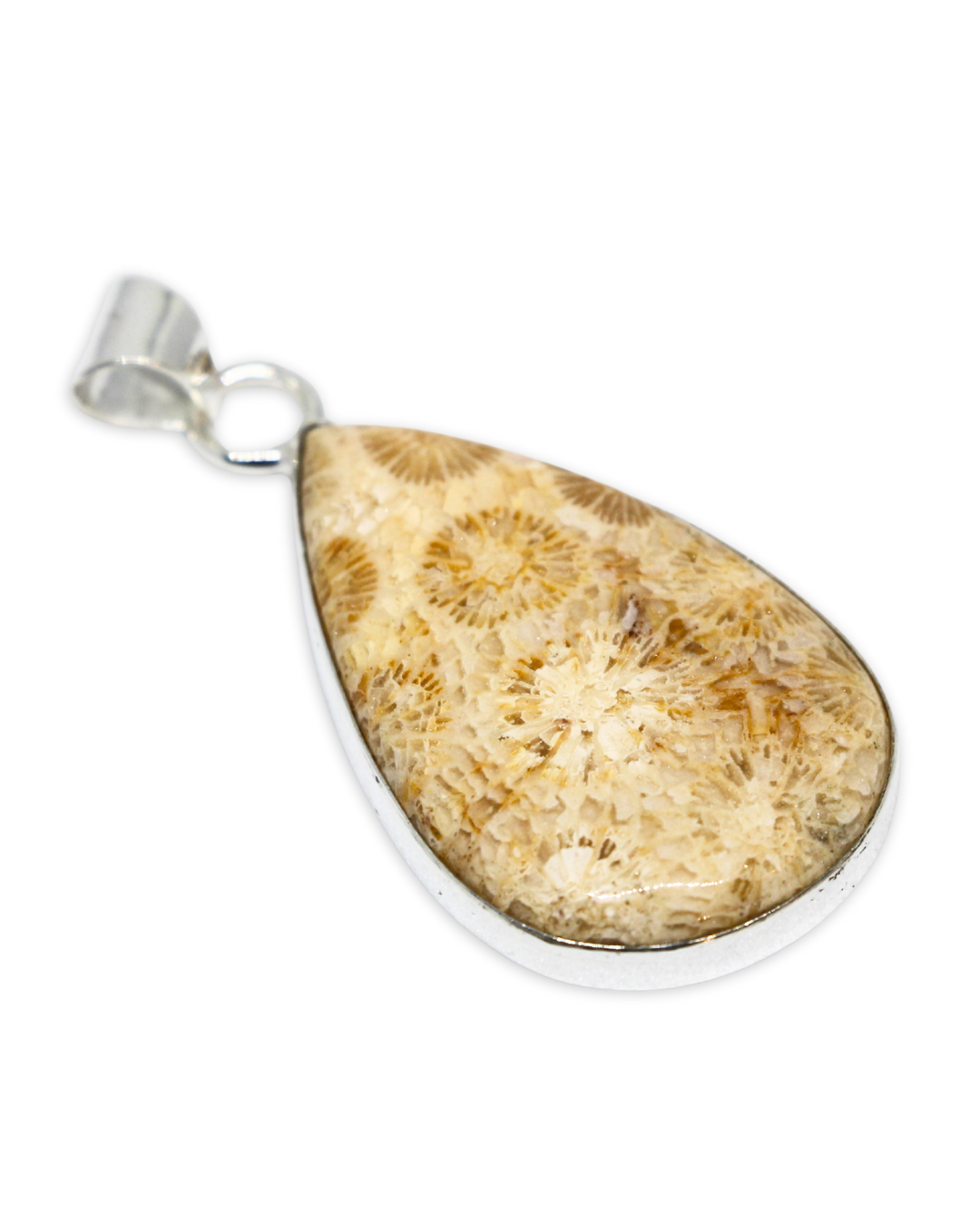 Fossil Coral Pendant